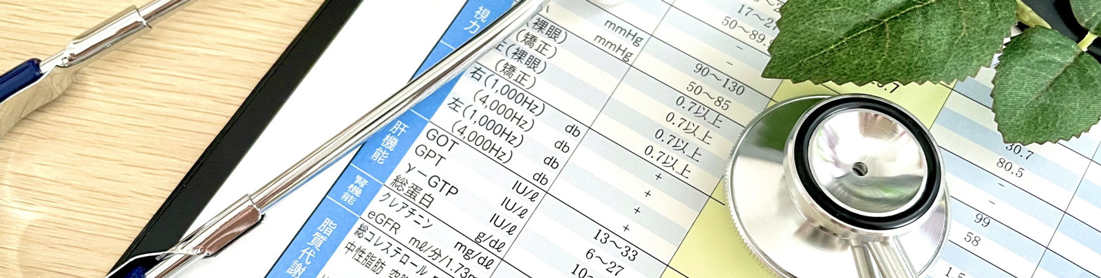 人間ドック優待